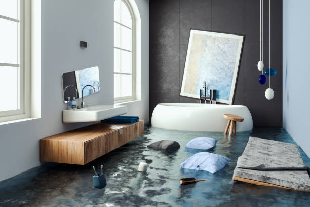 Best Local water damage restoration  in Coconut Creek, FL