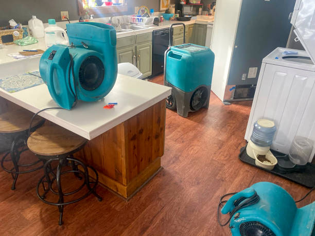 Best Mold removal after water damage  in Coconut Creek, FL