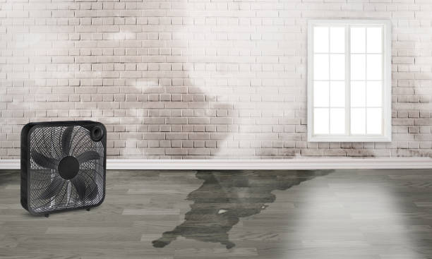 Best Emergency water damage restoration  in Coconut Creek, FL