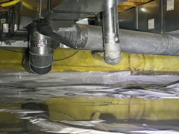 Best Water damage contractors near me  in Coconut Creek, FL