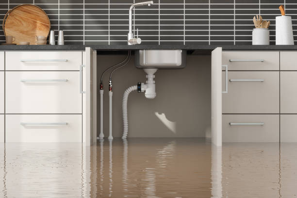 Best Flood restoration services  in Coconut Creek, FL